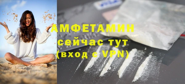 индика Арсеньев