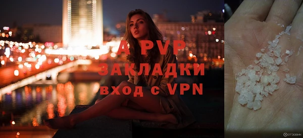 индика Арсеньев