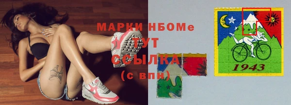 индика Арсеньев