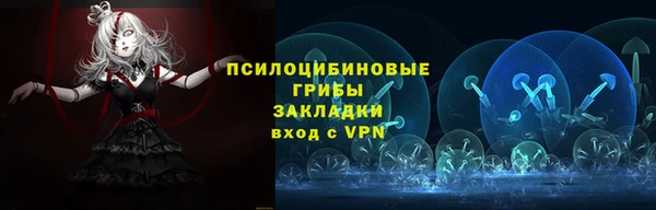 бошки Аркадак