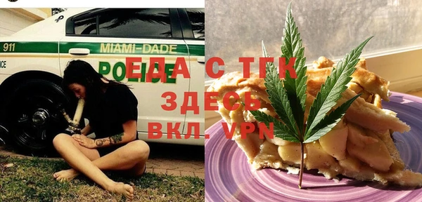 индика Арсеньев