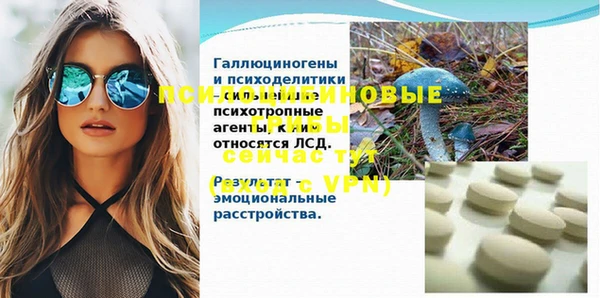 бошки Аркадак