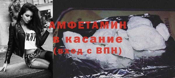индика Арсеньев
