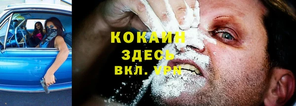бошки Аркадак