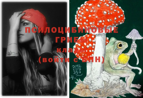 индика Арсеньев
