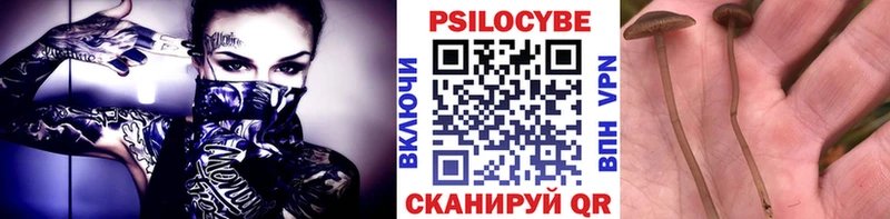 дарнет шоп  сайты даркнета официальный сайт  Галлюциногенные грибы прущие грибы  Серафимович 